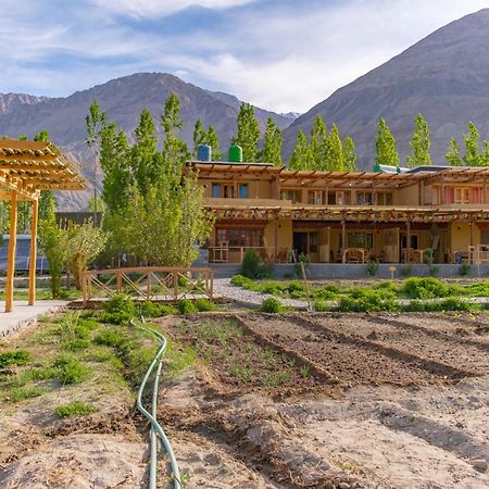 Nubra Ecolodge Sumur Exterior photo