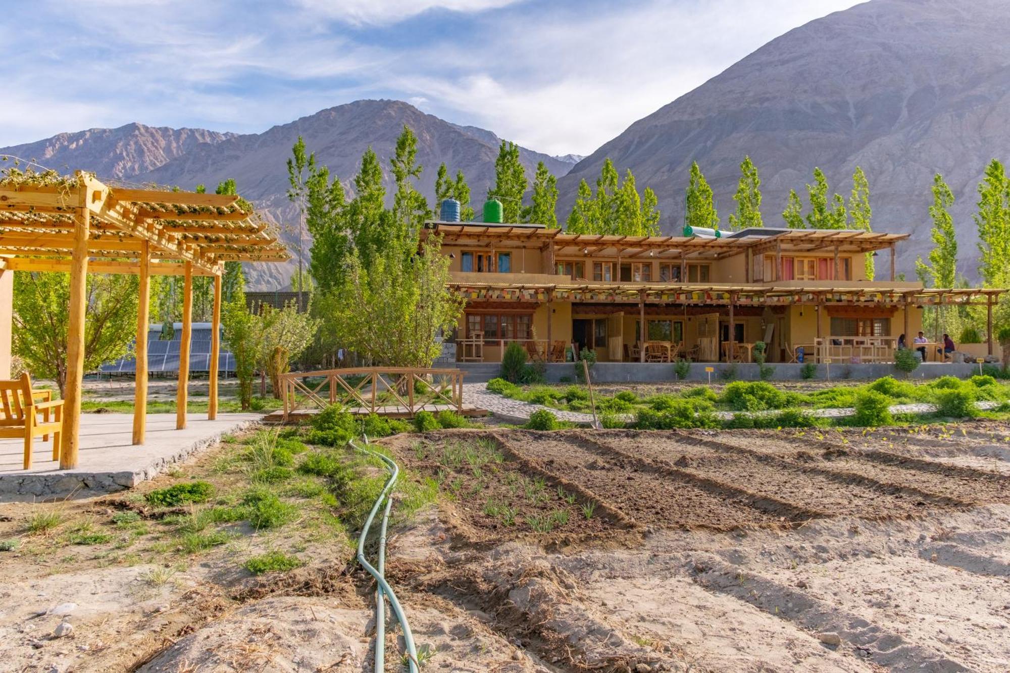 Nubra Ecolodge Sumur Exterior photo