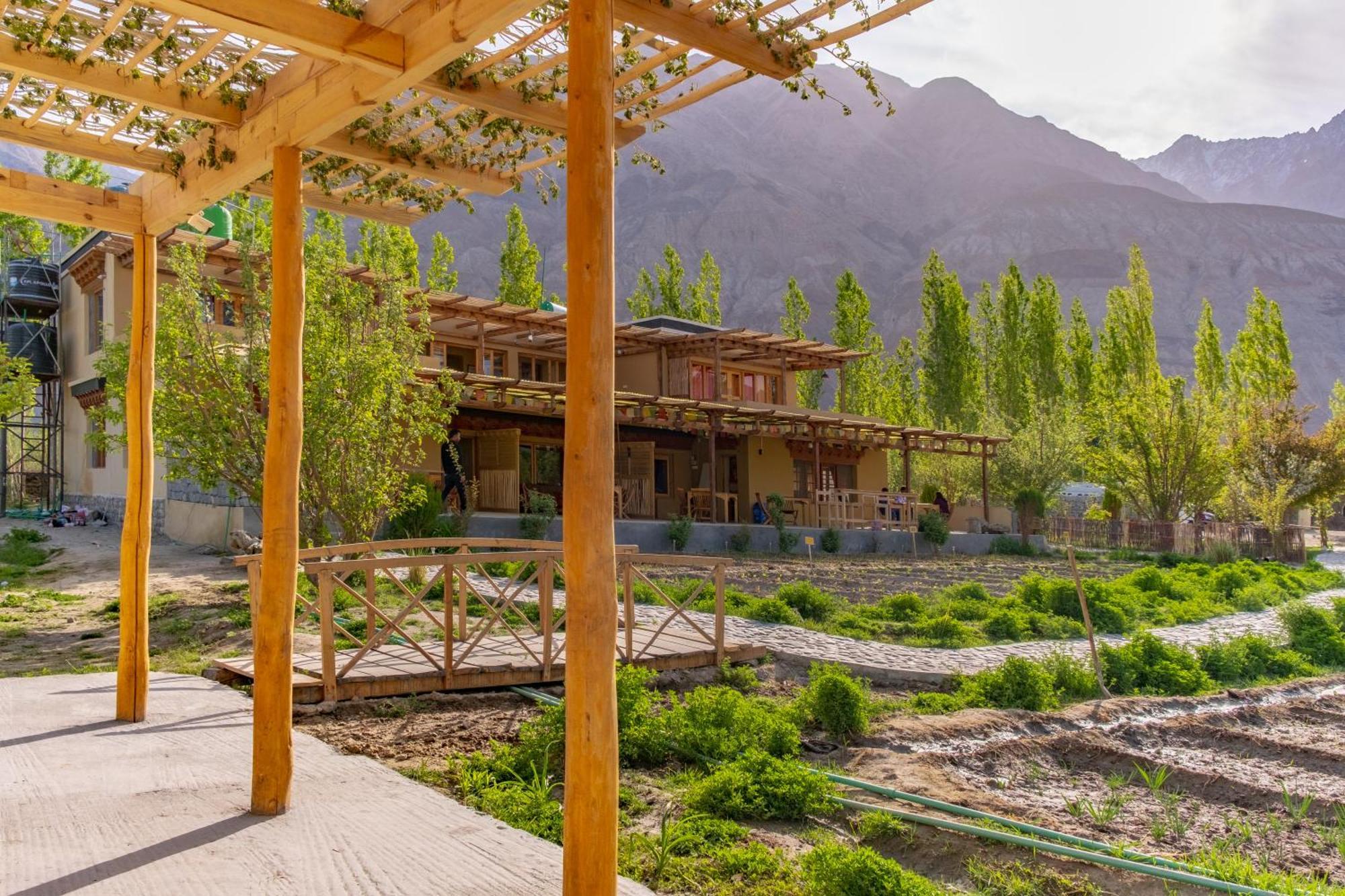 Nubra Ecolodge Sumur Exterior photo