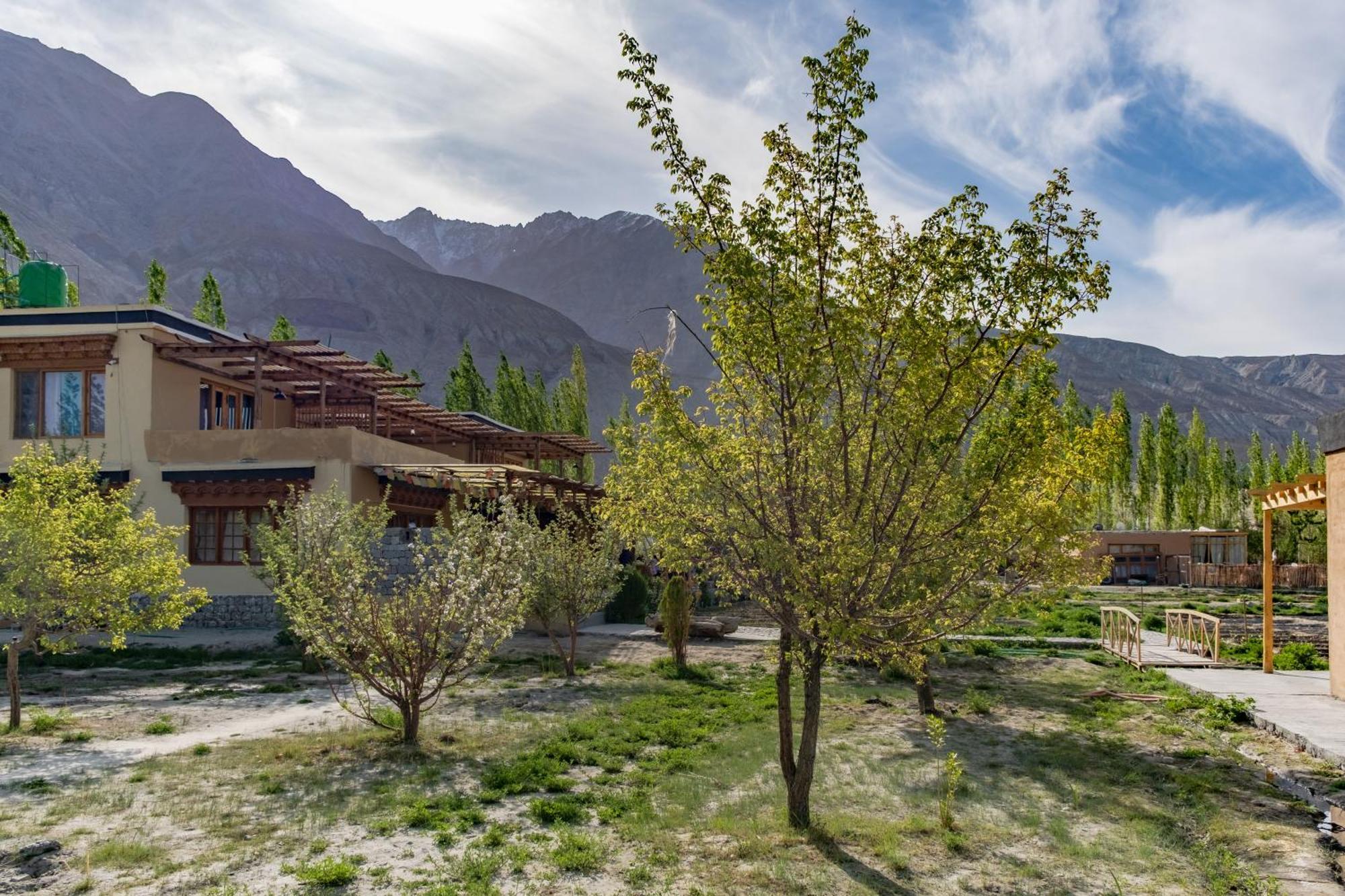 Nubra Ecolodge Sumur Exterior photo