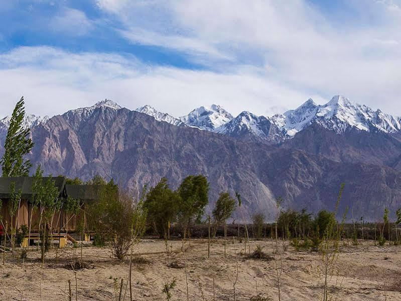 Nubra Ecolodge Sumur Exterior photo